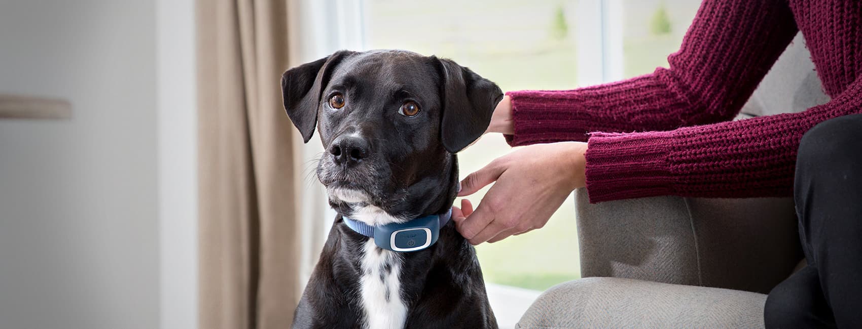 HERO Pet Safe Collar